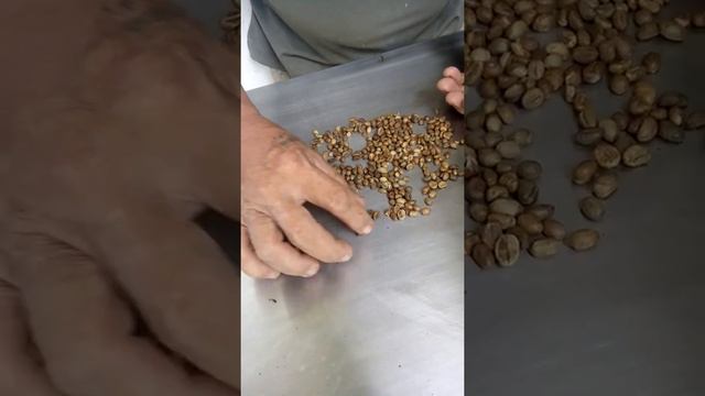 how to sort robusta coffee смотреть онлайн