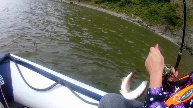 Ловили скумбрию а поймали краснопёрку,Тавайза Уссурийский залив. смотреть онлайн