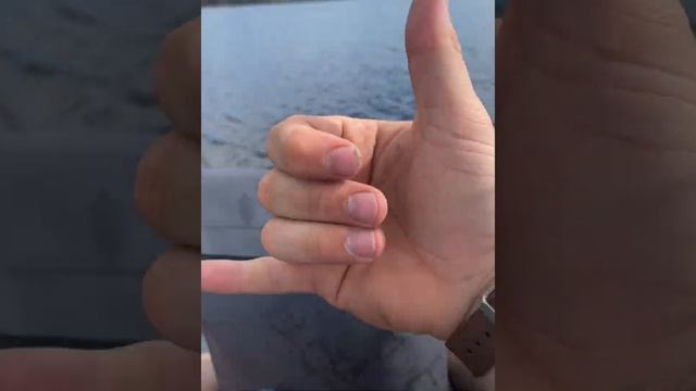 Automatic Self Sealing Waterproof Backpack Dry Bag смотреть онлайн