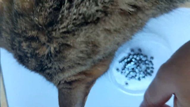 @LiiaIlchenko, Refashioning Jewelry, Hematite | @ЛияИльченко, Переделка украшений, Гематит