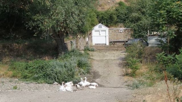 Междуречье смотреть онлайн