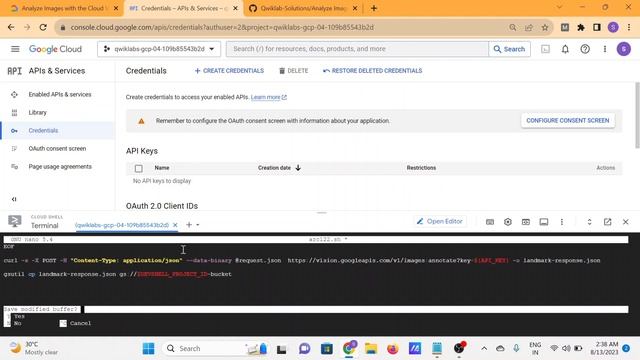 Analyze Images with the Cloud Vision API: Challenge Lab смотреть онлайн