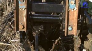 Strip-Till технология. Strip-Till на полях Крыма.