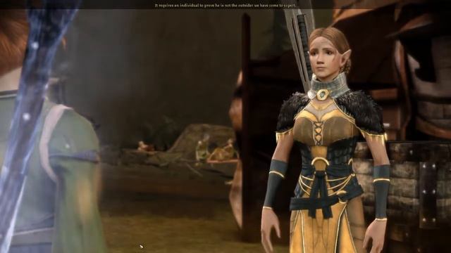 Arlathan and the History of the Dalish | Dragon Age: Origins смотреть онлайн