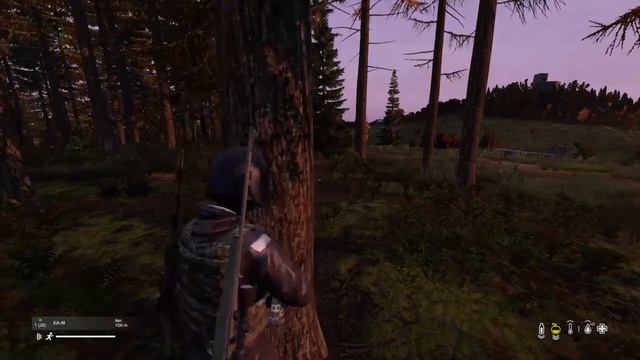 Dayz PFT смотреть онлайн