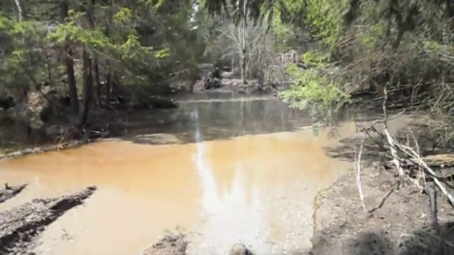 покатуки на квадрике В.Б. смотреть онлайн