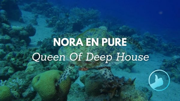 Nora En Pure - Queen Of Deep House | Tribute | Melodic & Visual Mix 2023 [4K]