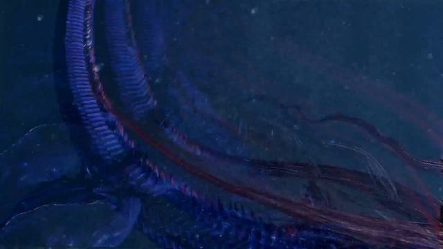 Dissidia Final Fantasy NT closed beta : Zidane gameplay (Leviathan summon) смотреть онлайн