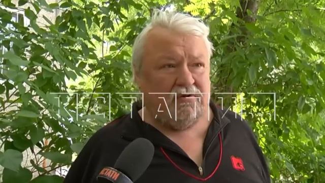 Синие коты пришли на смену синим собакам смотреть онлайн