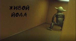 МАСТЕР ЙОДА ПОПАЛ НА КАМЕРУ