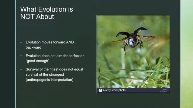 Botany 101 Crash Course смотреть онлайн