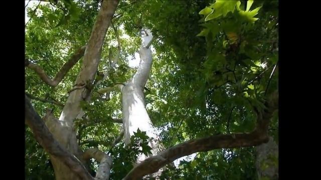 Горы Таджикистана смотреть онлайн