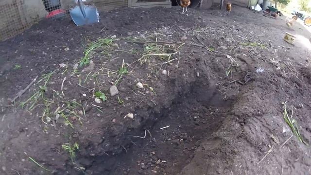 Великие грязи или как попасть в сарай без болотных сапог. Часть 2