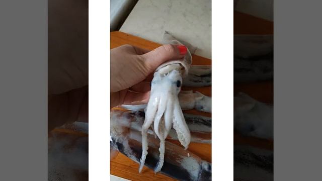 Как выглядит свежий кальмар смотреть онлайн