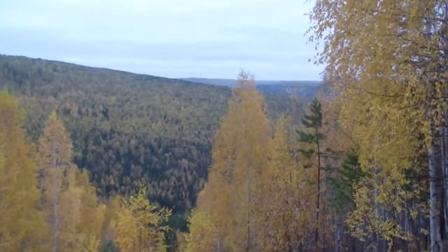 Осенняя охота. р Токовой и р Железный. Восточная Сибирь Иркутская обл .27 сентября 2015 г. смотреть онлайн