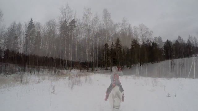 Зимняя прогулка на лошадях в КСК Баллада смотреть онлайн