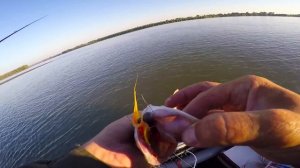 Рыбалка на реке. Ловля щуки в мутной воде, недостатки офсета .ЩУКА НА СПИННИНГ