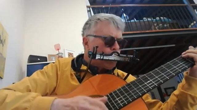 DAVENPORT BLUES harmonica, guitar, foot tambourine смотреть онлайн
