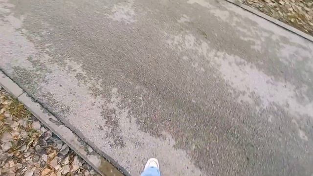 Прогулка в лесу / чек смотреть онлайн