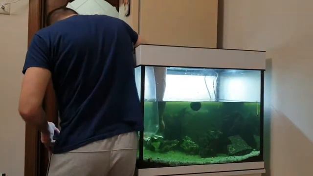 Запуск нового аквариума в однушке)) смотреть онлайн