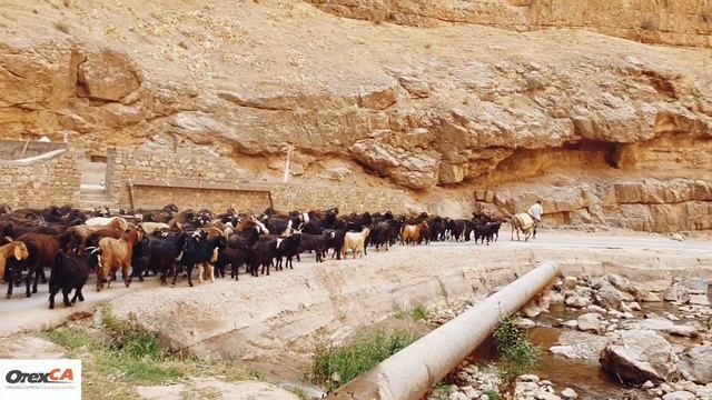 Darband Canyon, Boysun Village (Uzbekistan).