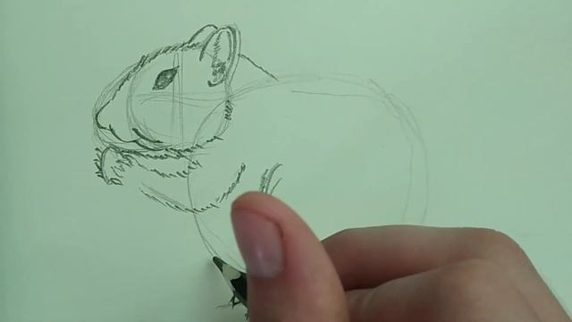 EASY SKETCH CHIPMUNK смотреть онлайн