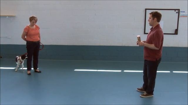 Reactive Dog Training - How to teach dogs not to lunge / bark on leash смотреть онлайн