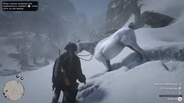 ЭЛИТНЫЙ Скакун! Арабский. Где найти?! (RDR2) смотреть онлайн