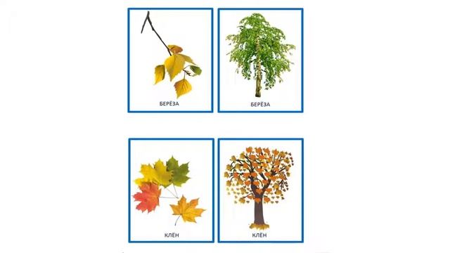 Видео - презентация по развитию речи №7 смотреть онлайн