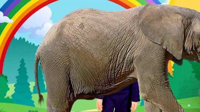 Буква С. Слова и произношение. Развивающее видео и азбука для детей. Буква кириллицы С. Учим алфави смотреть онлайн