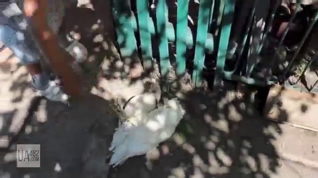 22 05 2014 Slavyansk the results of shelling смотреть онлайн