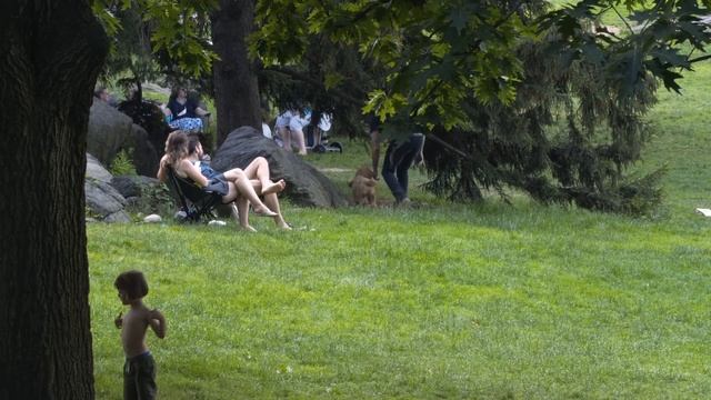 FARTING ON DOGS смотреть онлайн