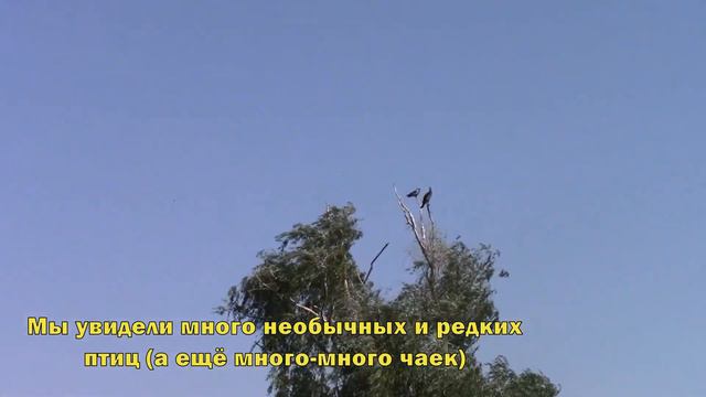 Кагальник 1 бригада смотреть онлайн