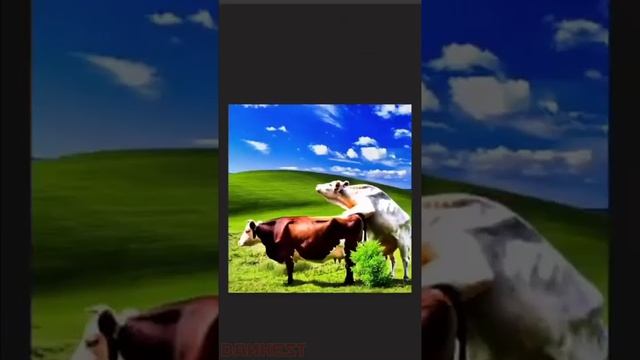 Нейросеть и фотошоп смотреть онлайн