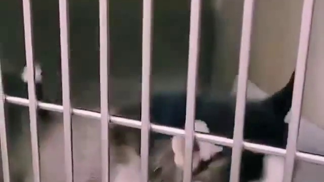 So Cute ❤️❤️❤️