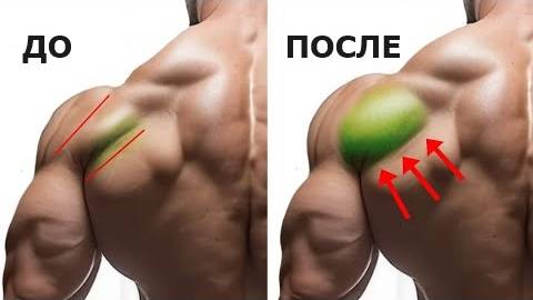 Тренировка на заднюю дельту плеча. смотреть онлайн