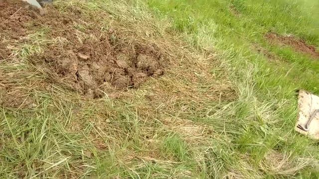 Крылья,ноги,хвост.ГЛАВНОЕ на копе ТАПОЧКИ смотреть онлайн