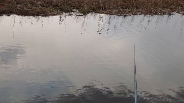 РЫБАЛКА НА КАРАСЯ С ЖЕНОЙ И БРАТОМ. смотреть онлайн