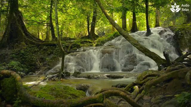 10 Hours Of Calming FOREST WATERFALL Sounds And Peaceful Nature Scenery For Deep Sleep And Relax
