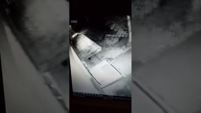 Недовольный сосед замазал прожекторы, светившие в окна смотреть онлайн