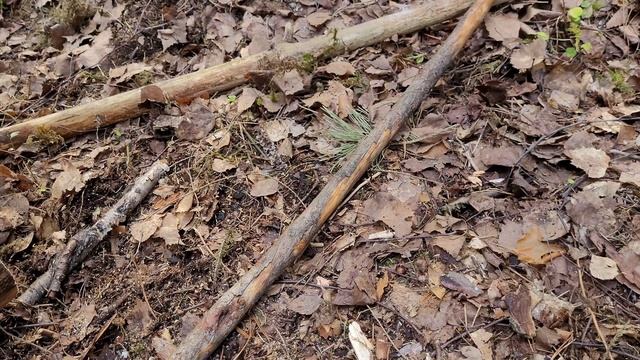 СТРОИТЕЛЬСТВО ЛАГЕРЯ | АПТЕЧКА | ЛЕСНОЙ ПАРТИЗАН смотреть онлайн