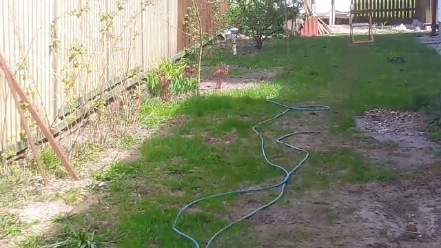 Мой коттедж в Юрмале в мае 2020 г. Накануне 75-ти летия Великой Победы. Проф. Владимир Музыченко смотреть онлайн