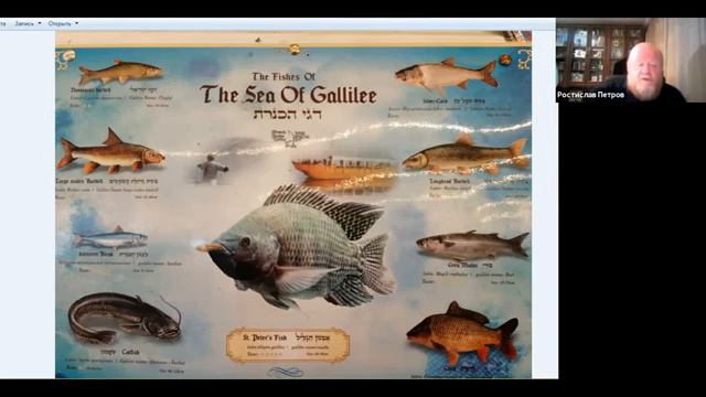 Евангельские истории в иллюстрациях с отцом Ростиславом, 2 октября 2020г смотреть онлайн