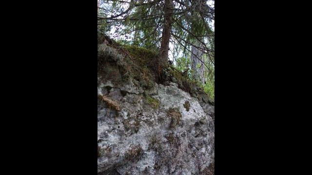 КАРЕЛИЯ ТЫ ГОНИ ПЕЧАЛЬ фото и музыка А Аедоницкий смотреть онлайн