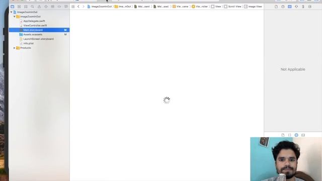 How to zoom In and out images - Swift tutorial in hindi смотреть онлайн