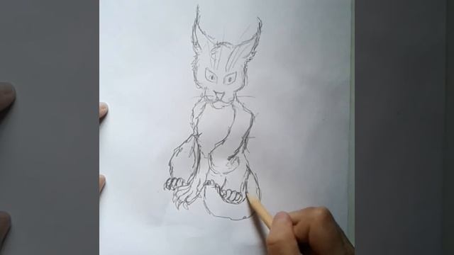 Как нарисовать кота с крыльями | How to draw a cat with wings смотреть онлайн