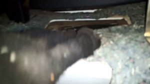 ?️ ПРИОРА. Термостат от Гранты на приору. Ремонт заслонки рекуперации (циркуляции) печки.