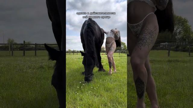 ПОЧЕМУ ВАС НЕ СЛЫШНО, КОГДА ВЫ КРИЧИТЕ? смотреть онлайн