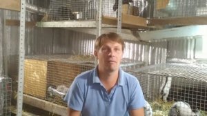 Что делать если у кролика слезятся глаза. Личный опыт лечения.