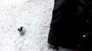 ПОКУПКА НОВОЙ РЕЗИНЫ НА ТРАКТОР Т-25/BUYING A NEW RUBBER ON THE TRACTOR T-25